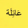 Family & Pronouns Flashcards