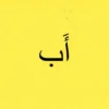Family & Pronouns Flashcards