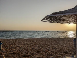 IMG-20230729-WA0028.jpg-scaled