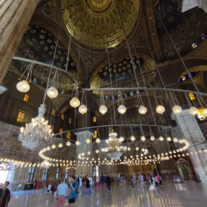 IMG_20230722_144843.jpg-scaled