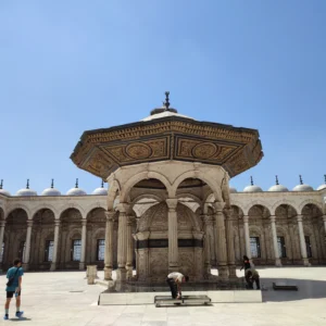 IMG_20230722_144912.jpg-scaled