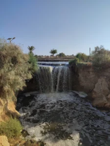 IMG_20240824_082243.jpg-scaled