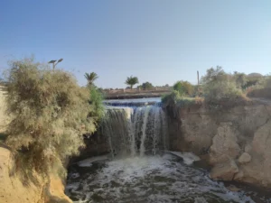 IMG_20240824_082301.jpg-scaled