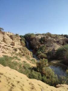 IMG_20240824_083239.jpg-scaled